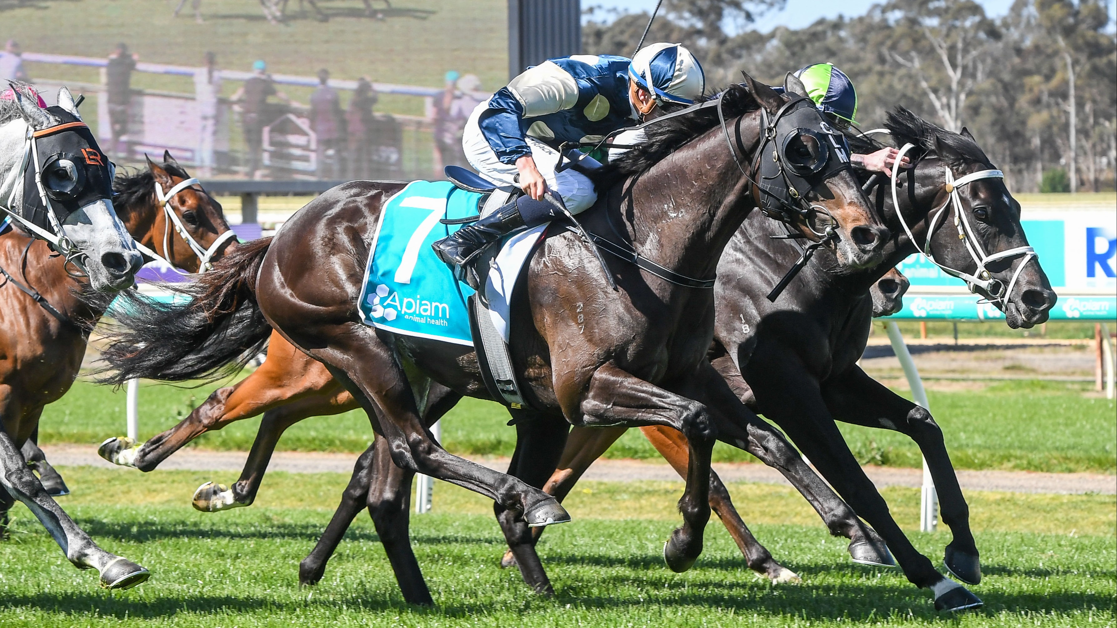 Jay Cartwright Racing Driver Cartwright reuniting with old boss in Wellington Cup