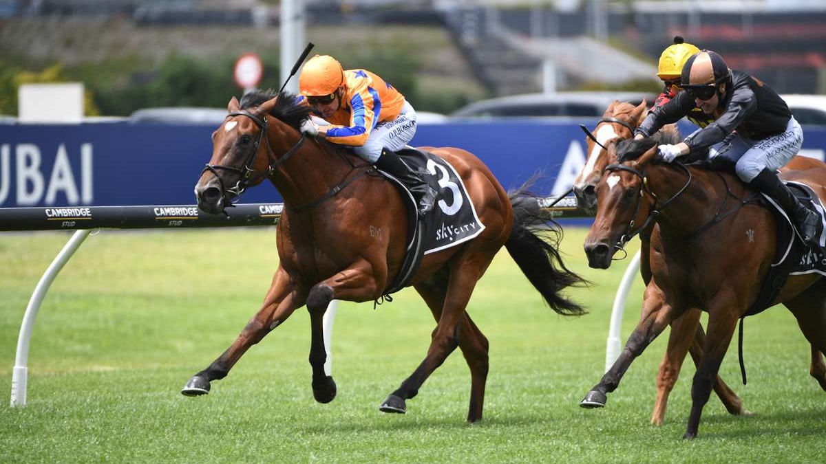 Kinnaird ticks all the right boxes for a Karaka Millions winner