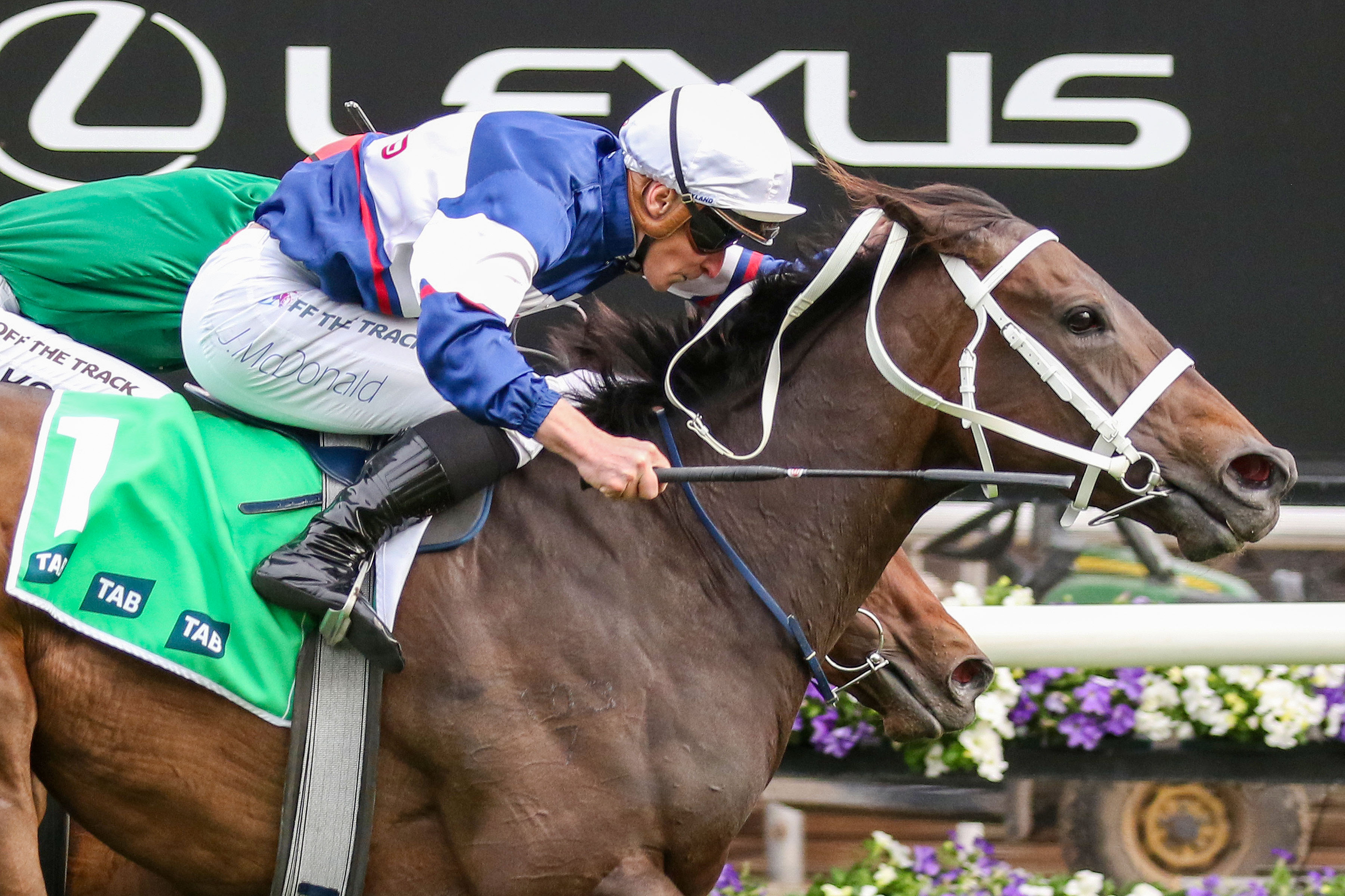 Star Mare Atishu sells for A$2.7 million