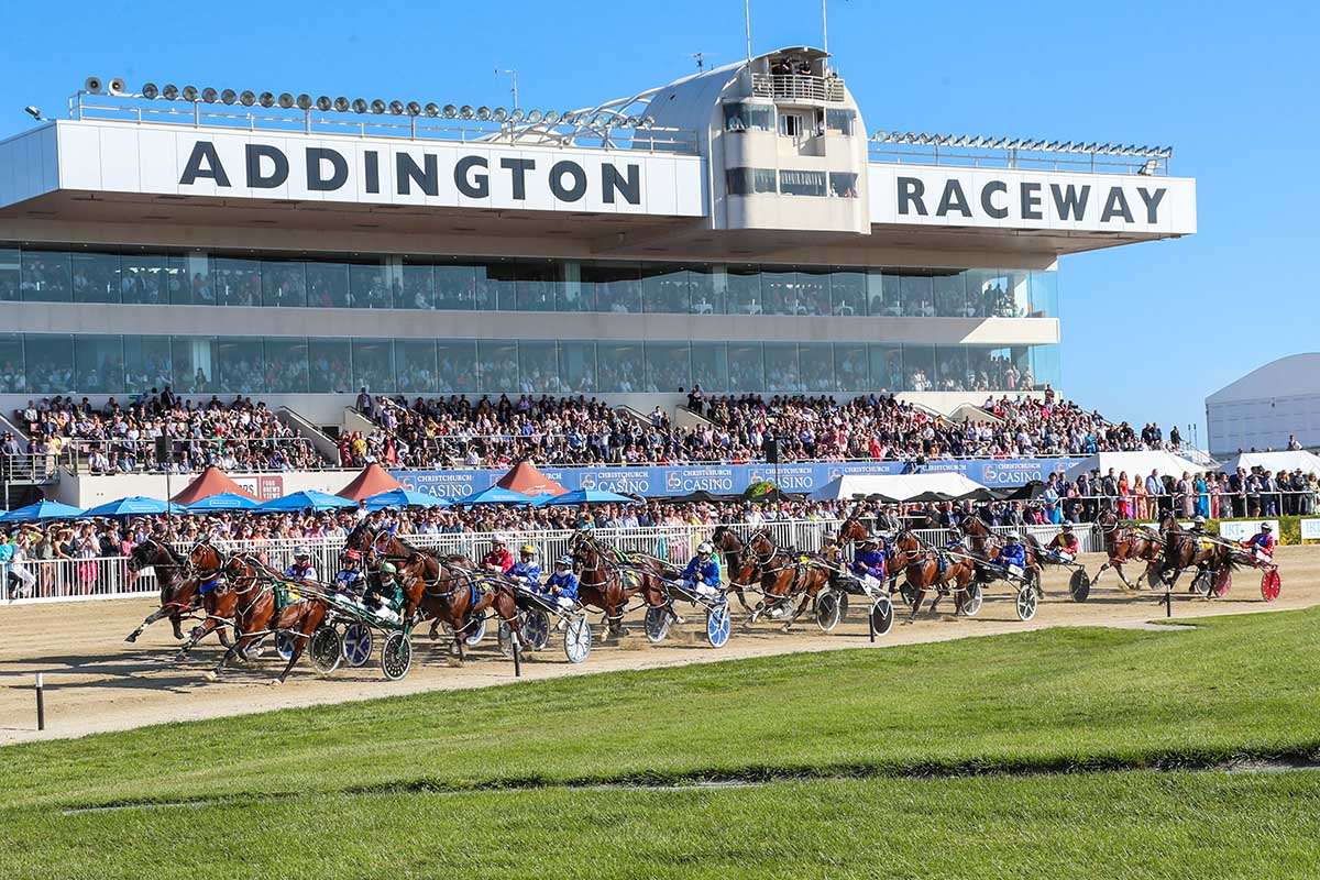 WORLD DRIVERS CHAMPIONSHIP COMING TO NEW ZEALAND
