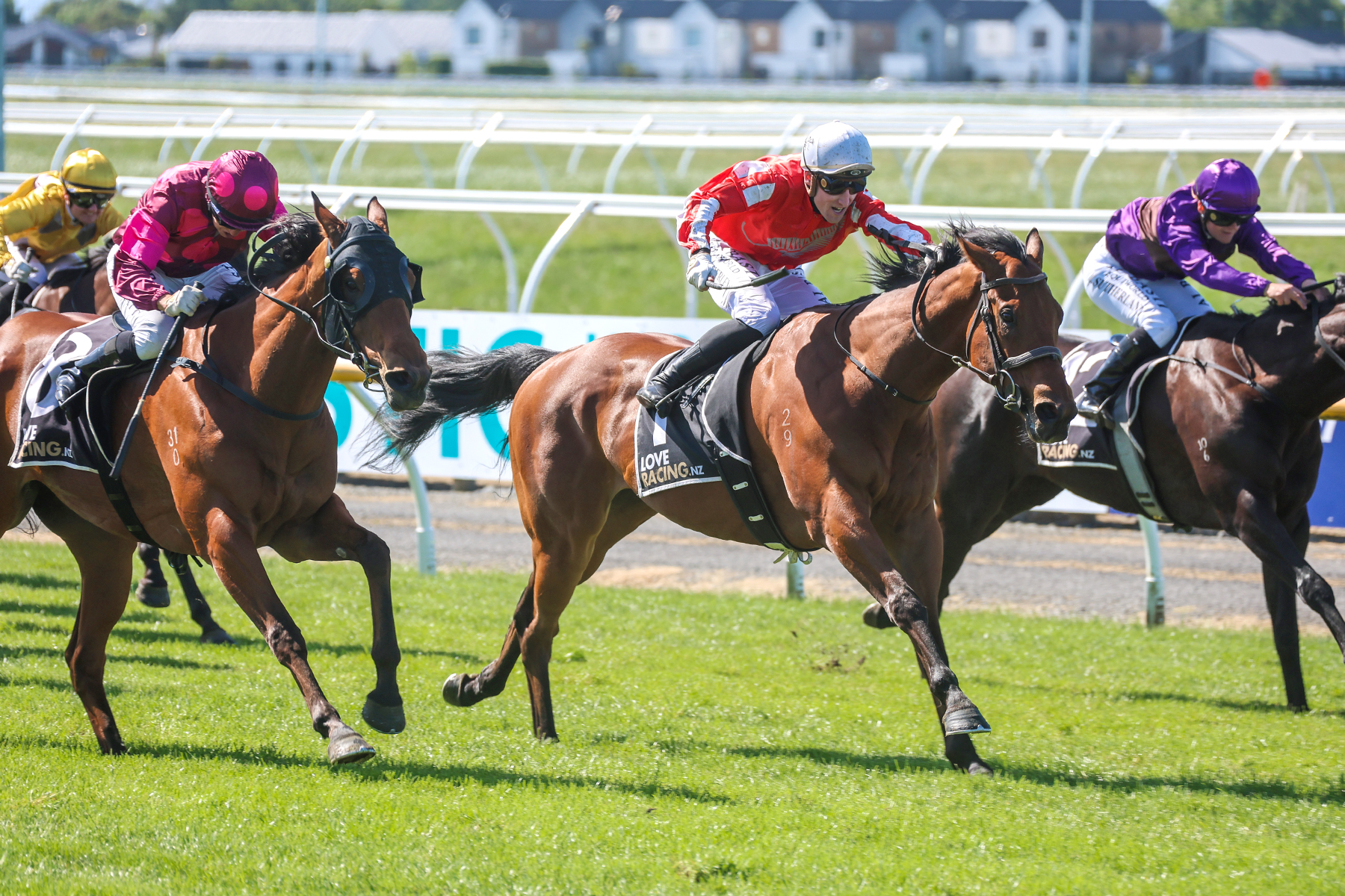 Pitman eyeing the skies and the draws ahead of Wingatui