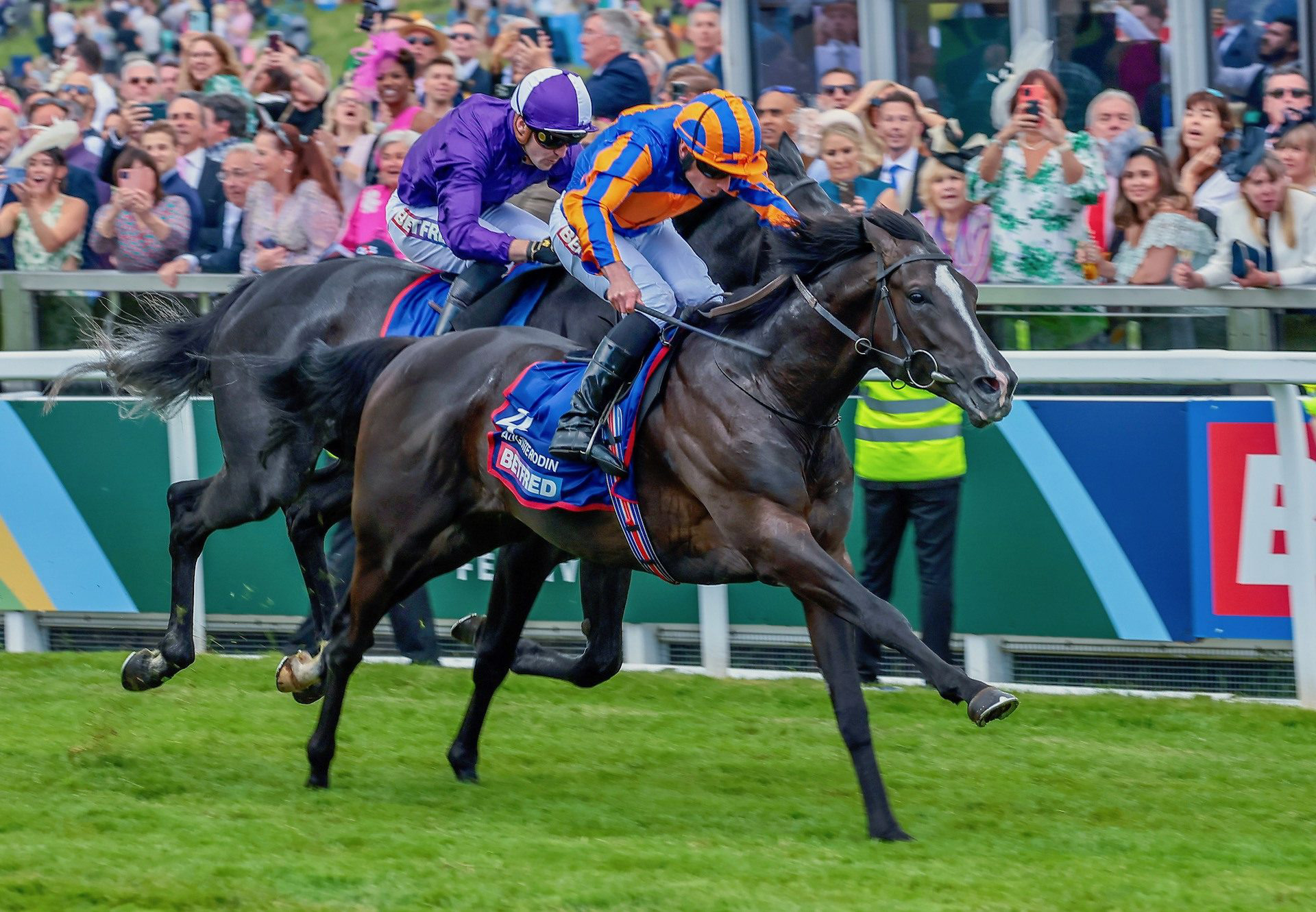 Six-time Group One winner to stand at Windsor Park