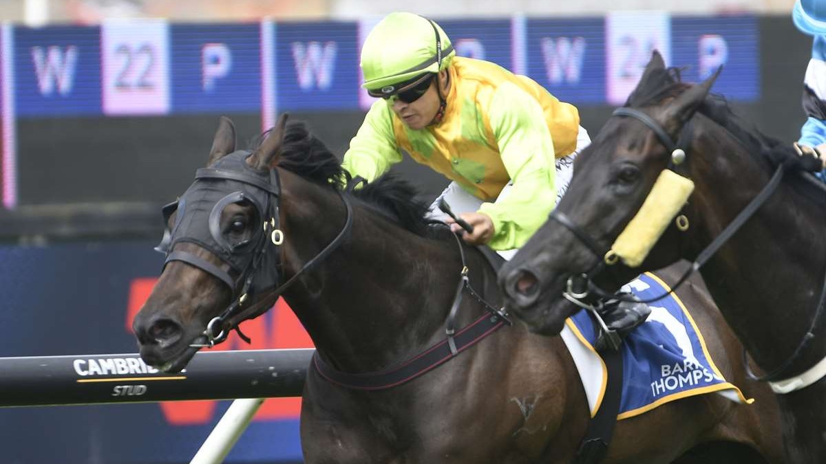 Wood’s stable looking to extend run of form