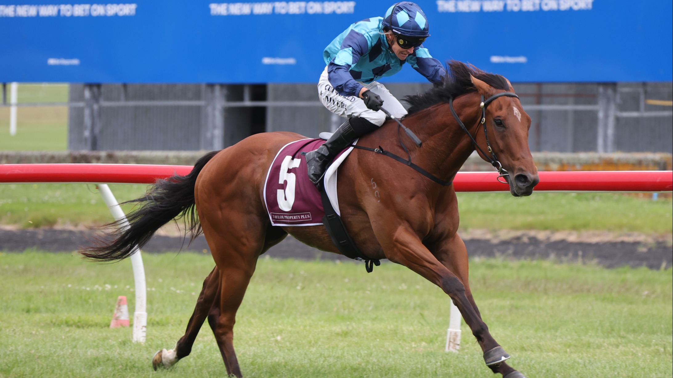 Northern test for Central Districts raider