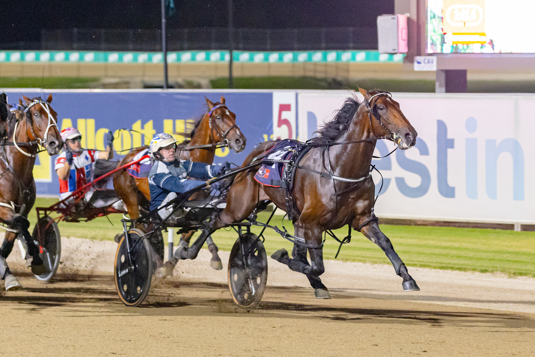 Eureka and Dapto Megastar hype builds Across the Ditch