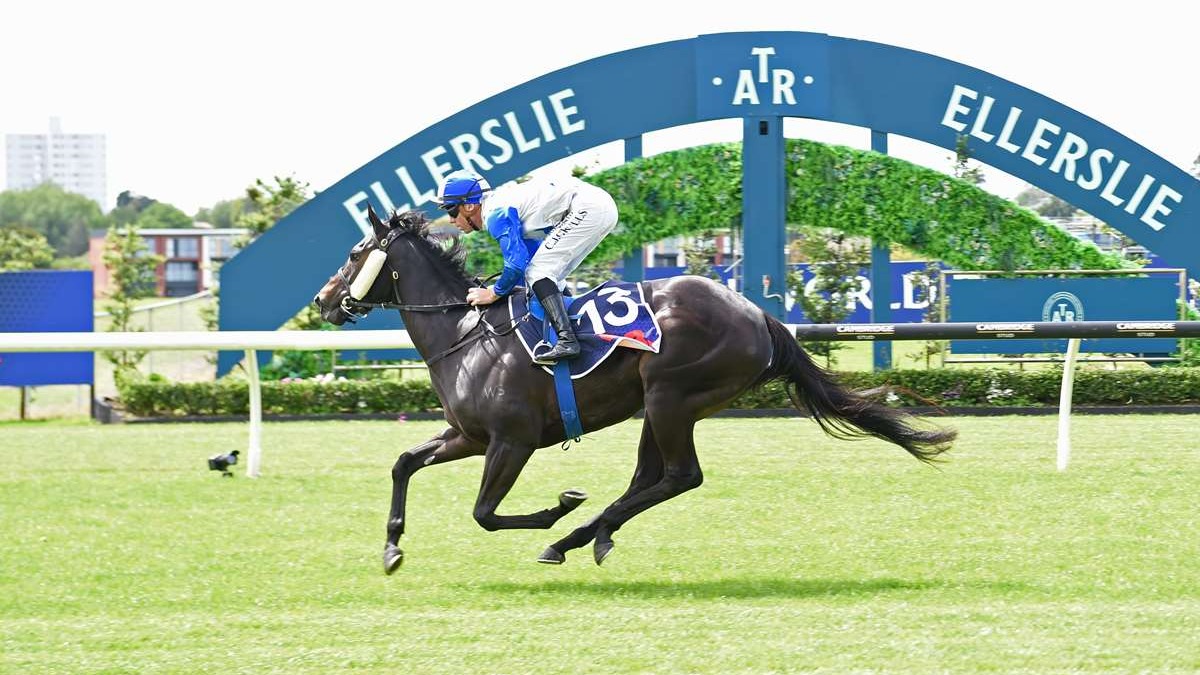 Stephen Hunt runs the Ellerslie numbers