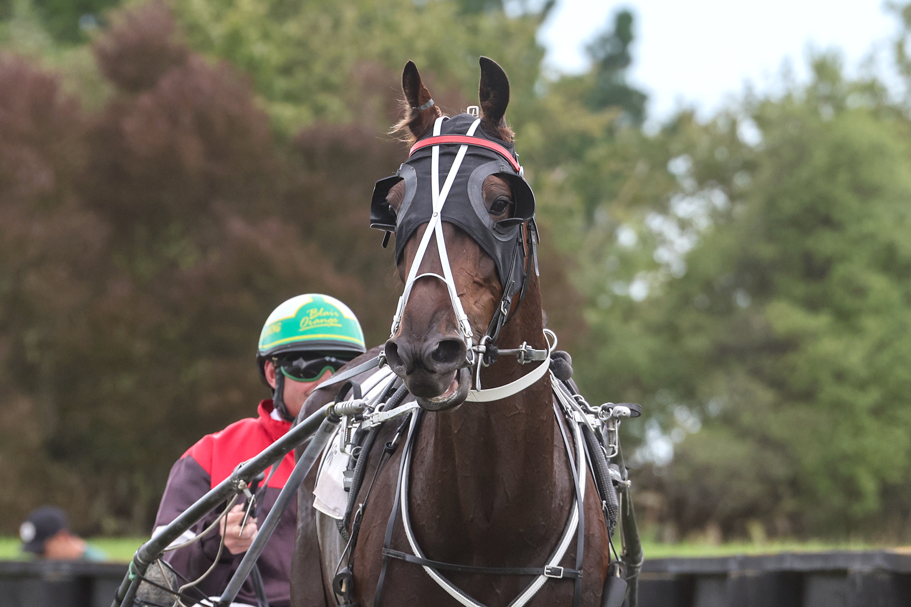 Northern driver answers SOS from Borcoskie