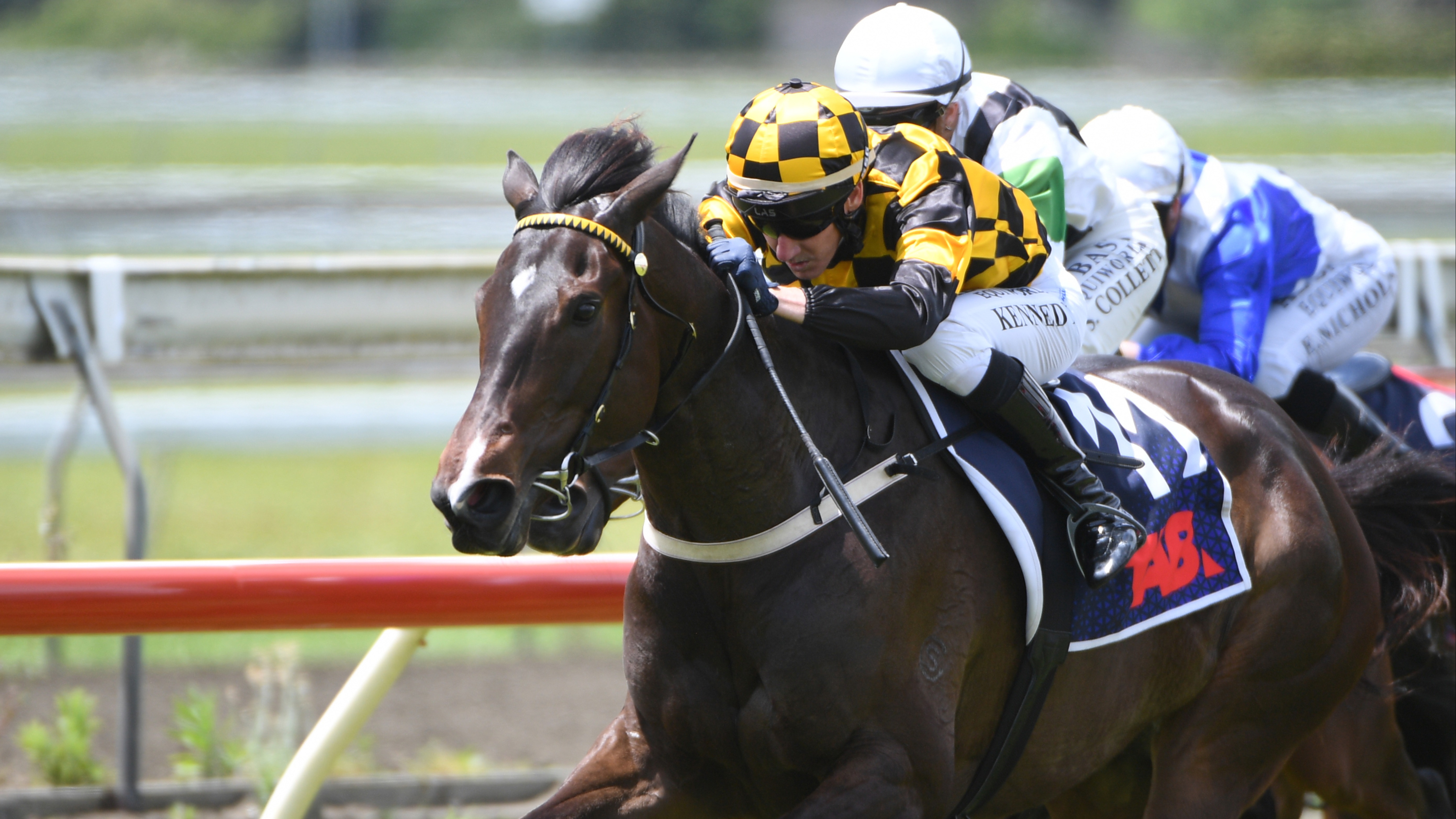 Progressive Mollify loving life in New Zealand