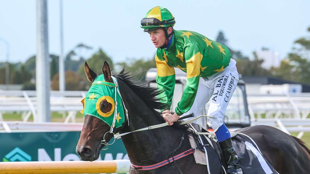 Wellington Cup tilt in the offing for Mayor Of Norwood