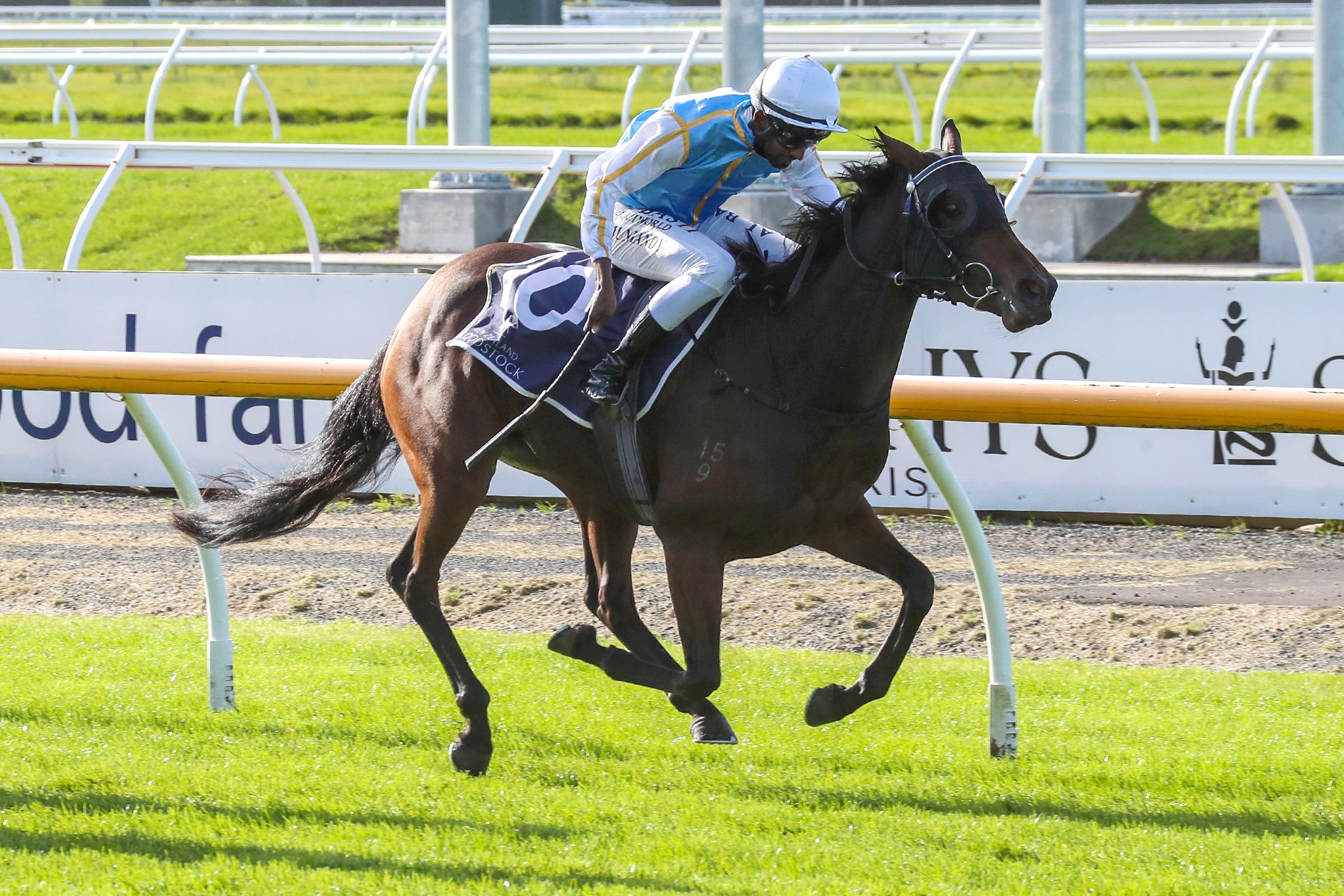 Confidence boost brings Miss Layla right into contention