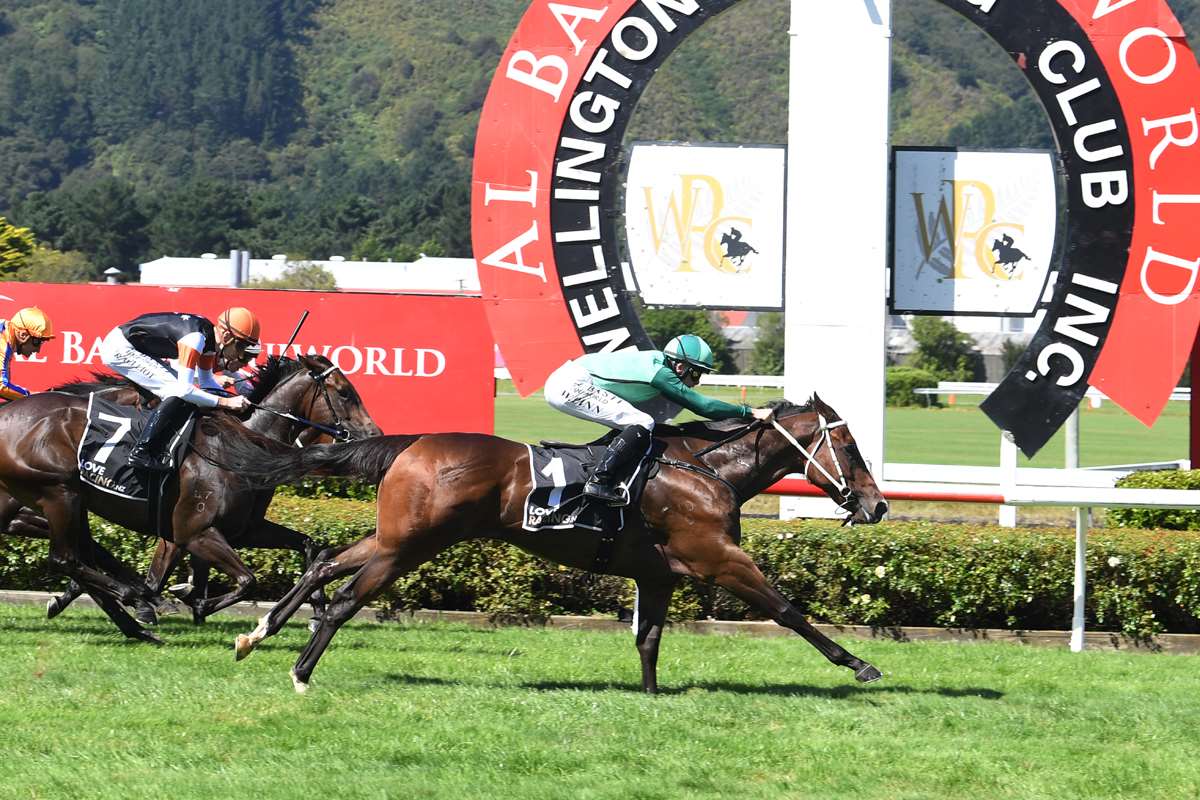 Trial Stars hoping to shine at Te Rapa