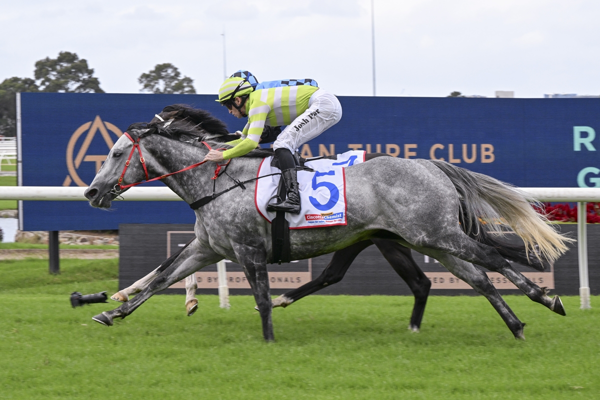 Lekvarte salutes in Emancipation