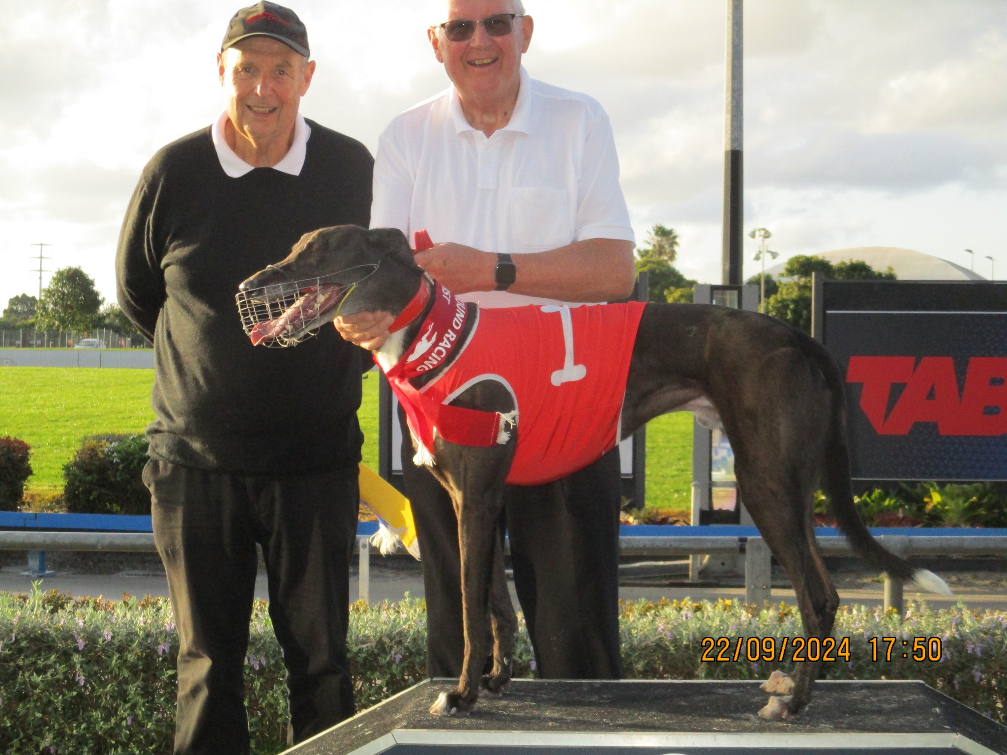 Wheres Neville won at Manukau on September 22nd-Focus
