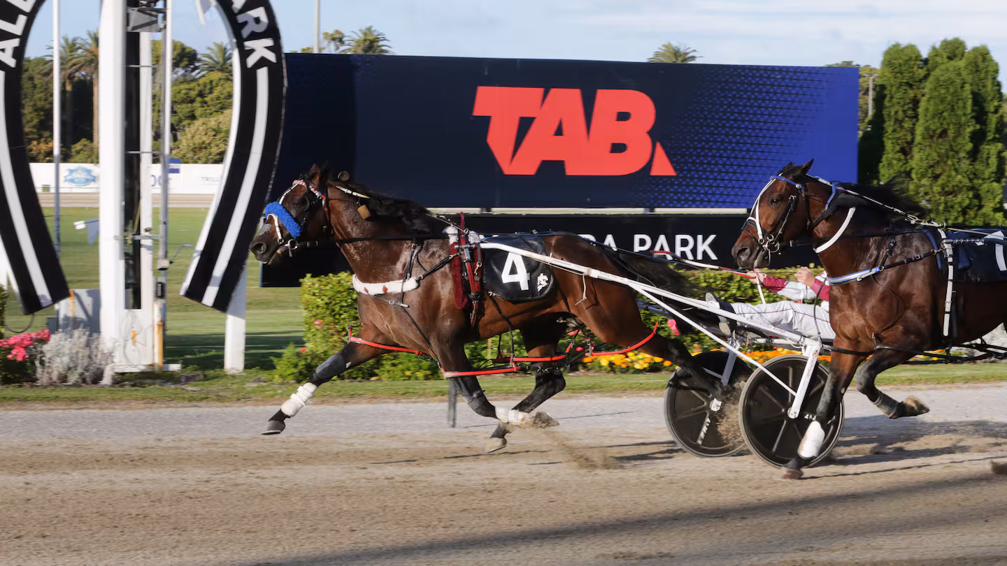 Alta Meteor won’t light up Addington as road to NZ Cup gets serious
