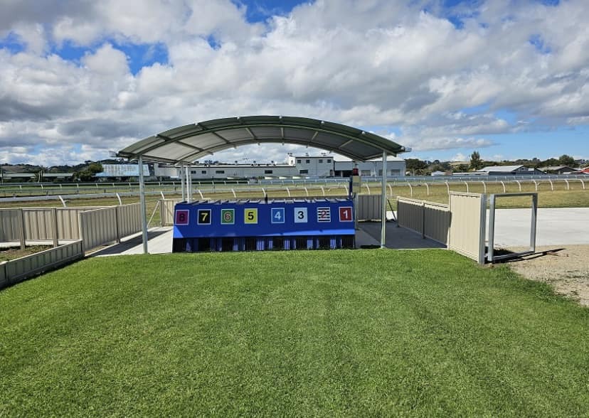 Govt announces decision on future of greyhound racing
