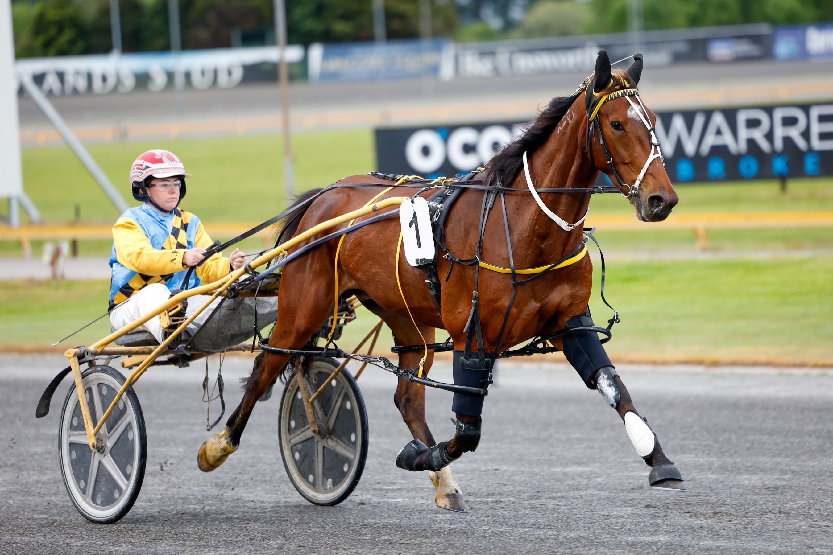 Don’t sleep on Claude in the Christmas Cup