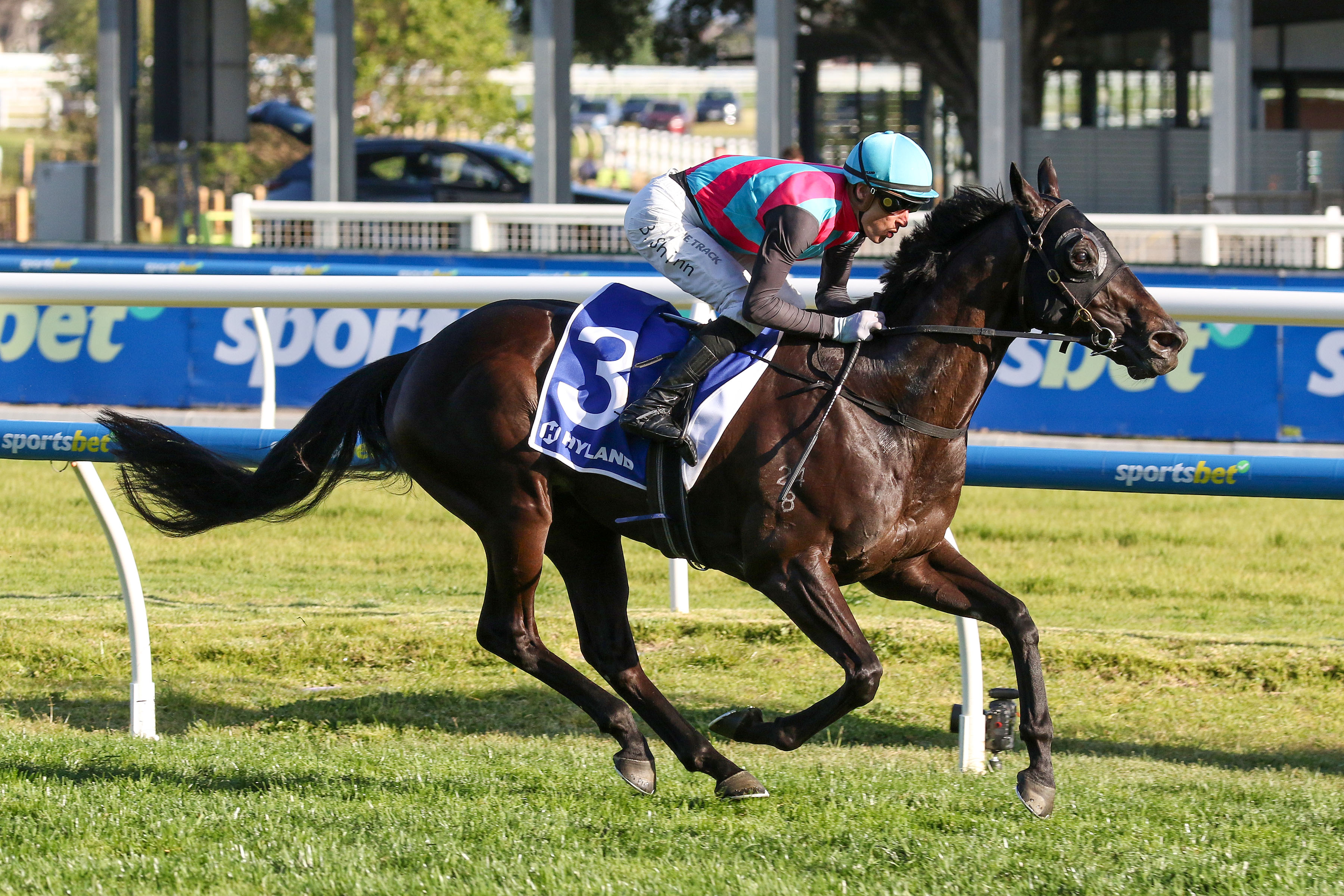 antino stunning in toorak