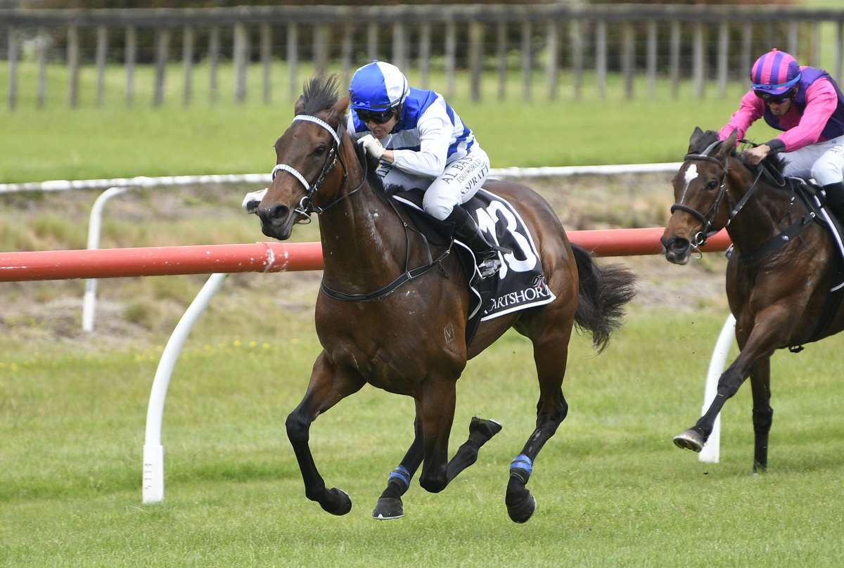 Trainers chasing Group success from new base