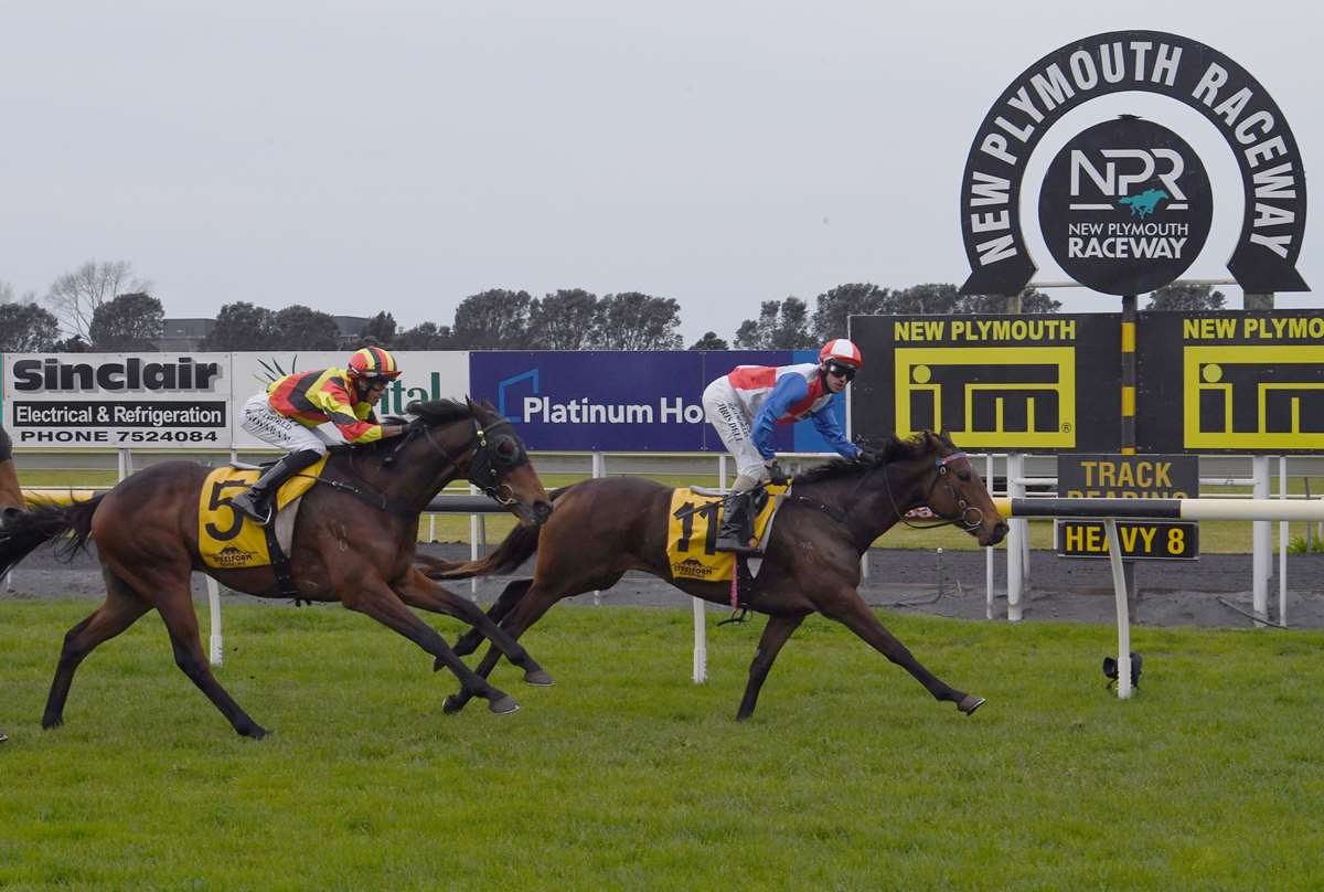 Chantilly Lace backs up from Interprovincial triumph