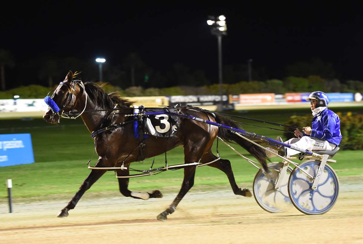 Michael Guerin: Don't Stop Dreaming changes stables