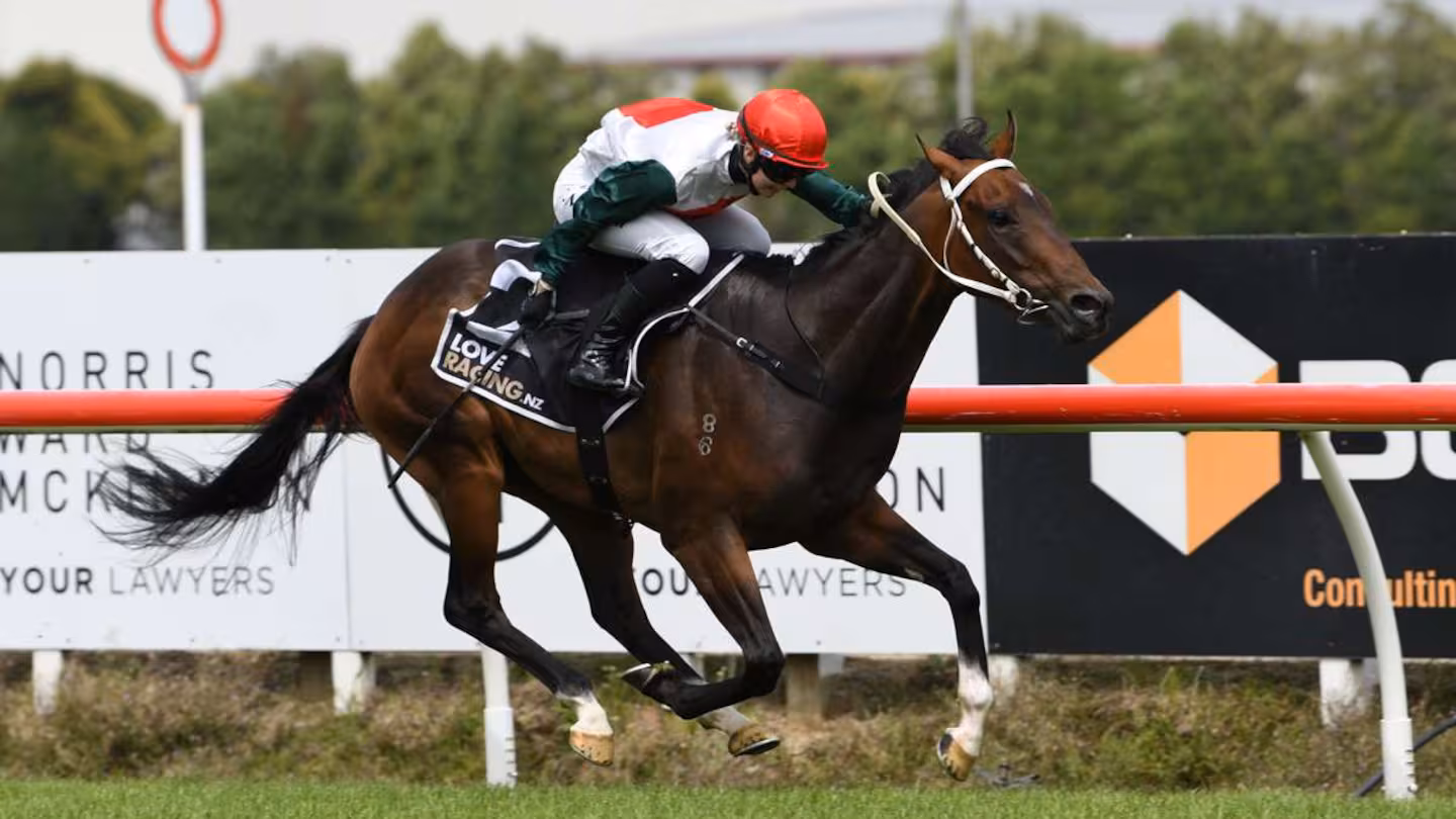 Christmas Raceday for Cure Kids: Black-type raceday at Ellerslie about more than just winning