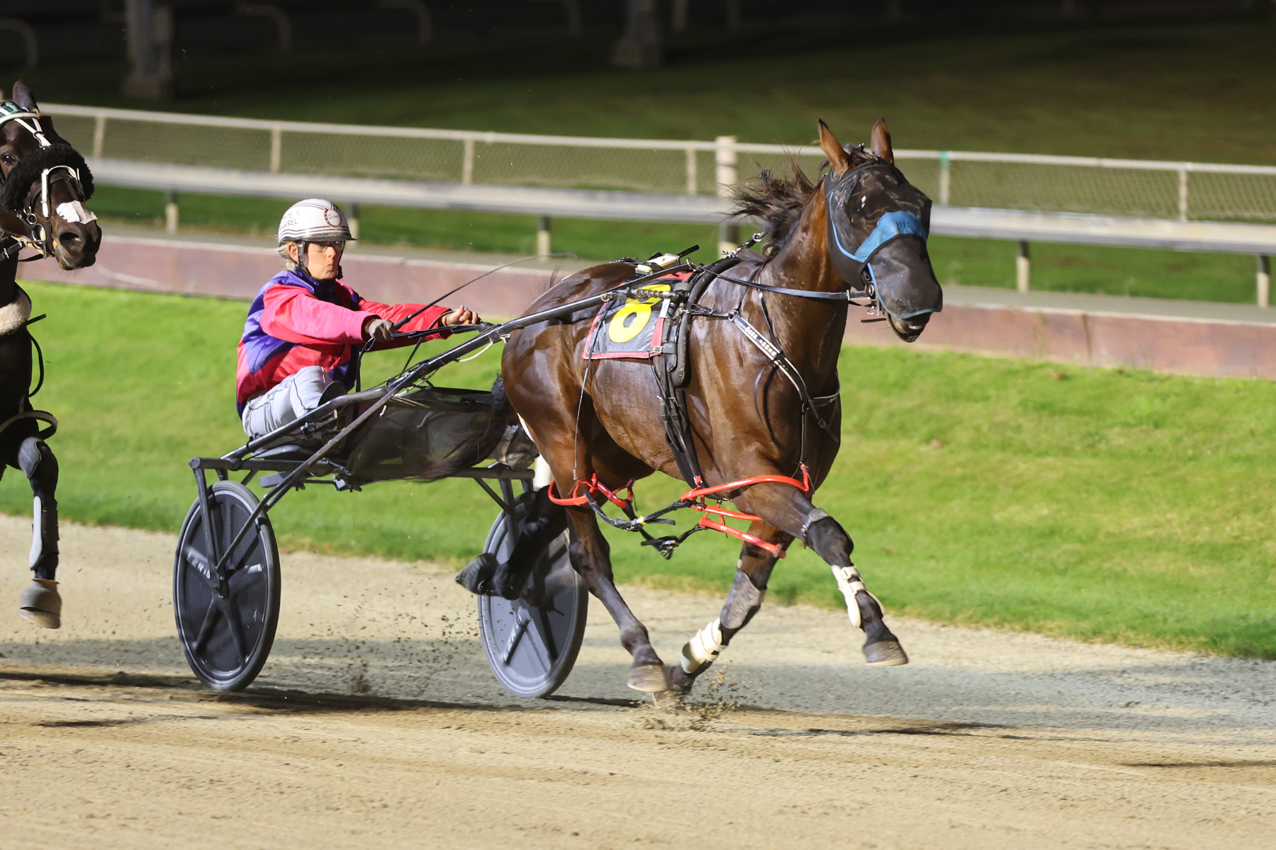 Jones thankful for second opportunity with quality mare