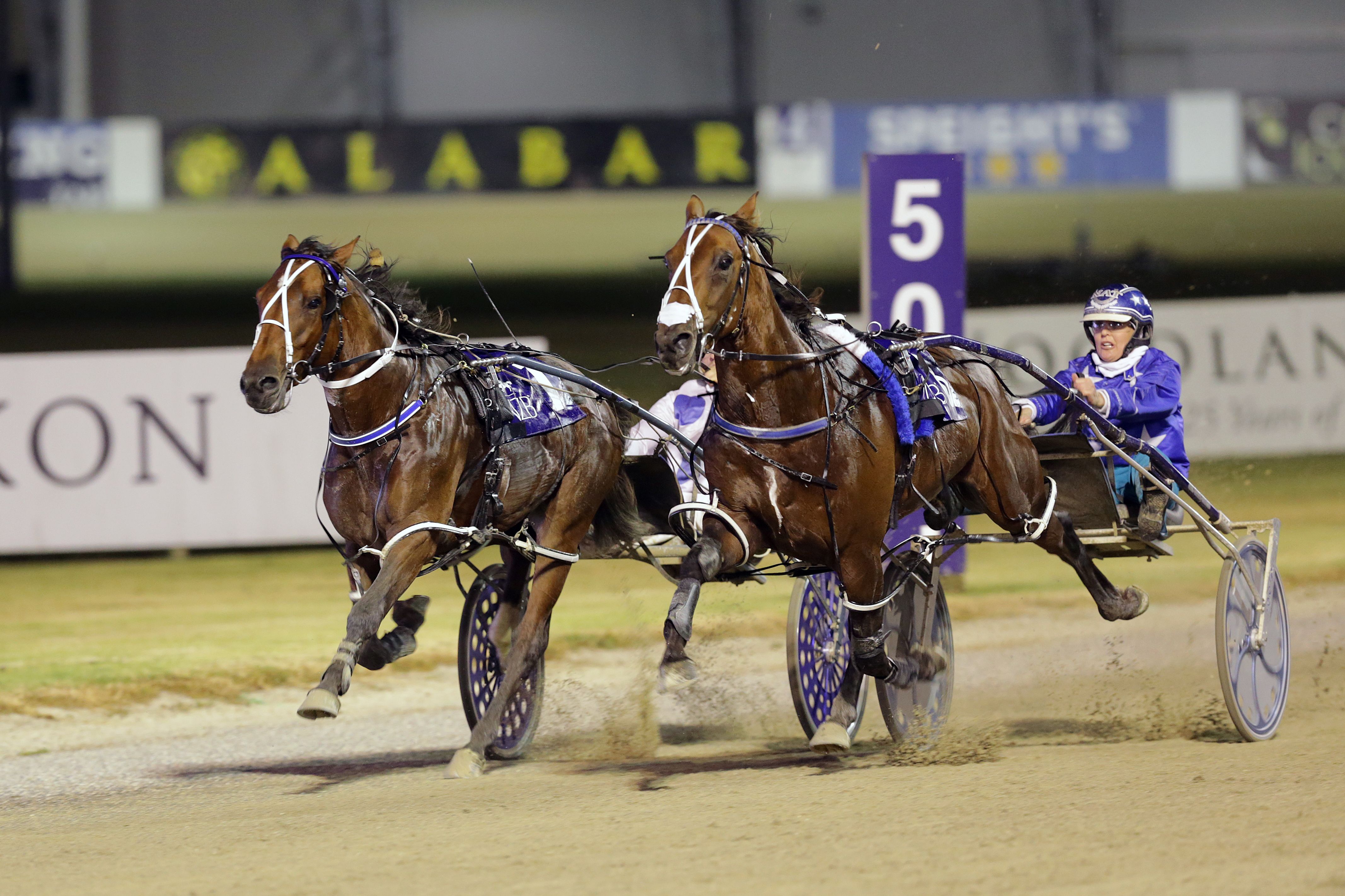 Diet of seaside air for Chase A Dream in Christian Cullen countdown