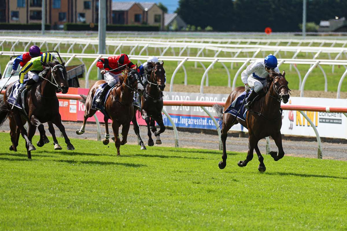 Stephen Hunt: Run the numbers from Riccarton