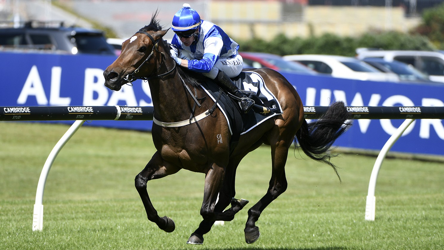 Pulsatilla powers to spectacular Ellerslie victory