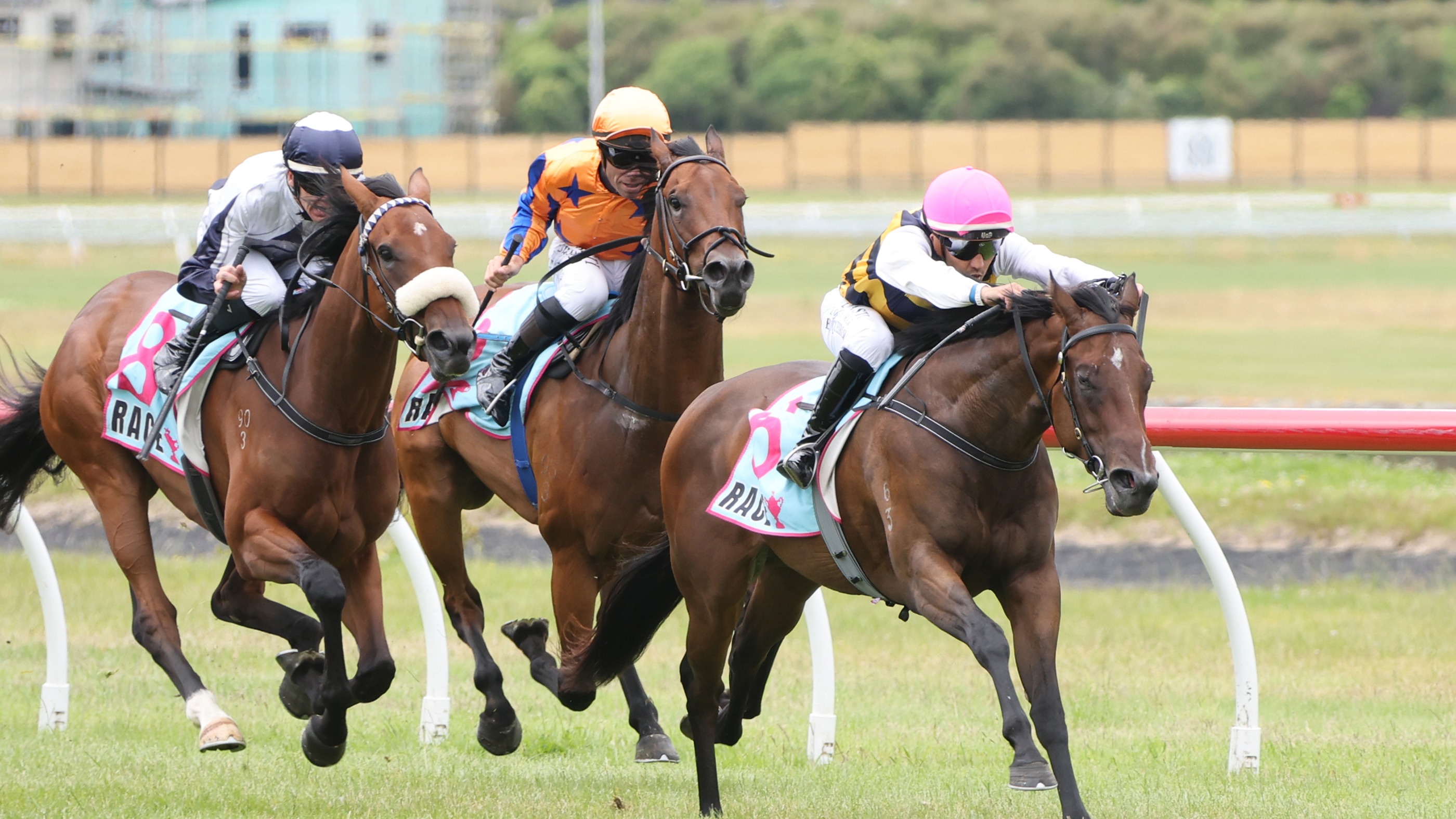 Rutten has sweet tooth for KM 2YO