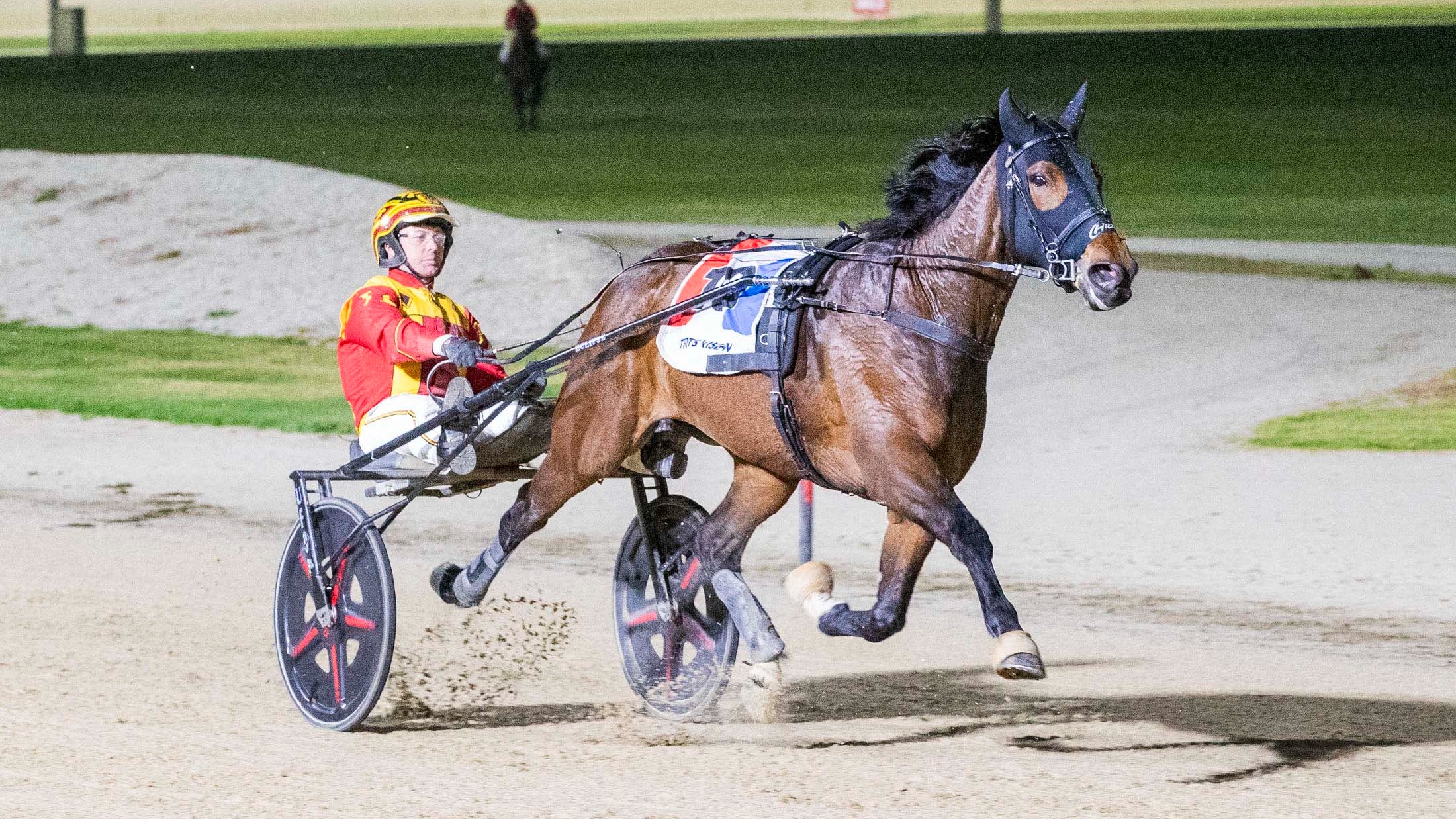 Important Harness racing action to follow Across the Ditch