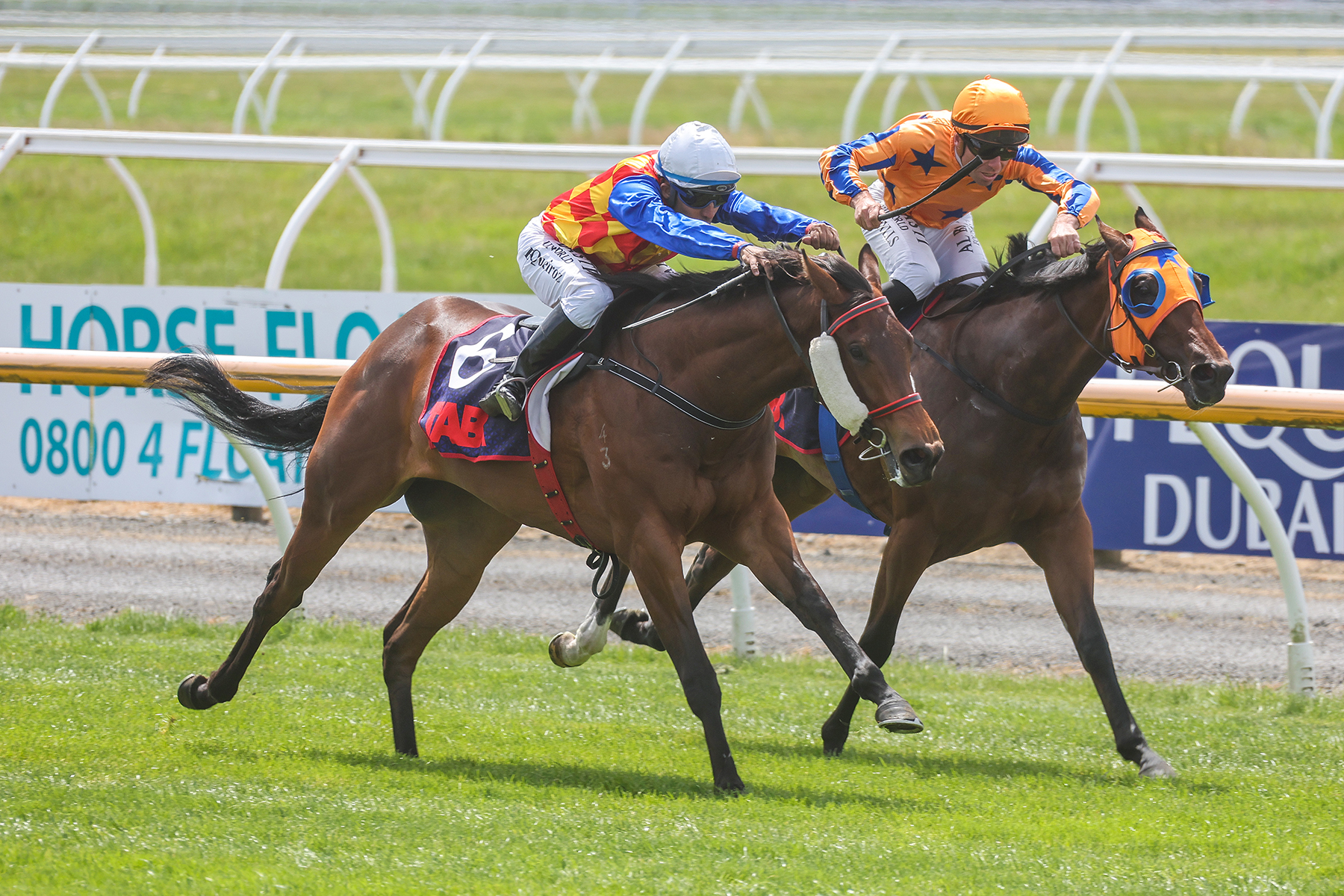 I Am Belle scores on debut at Riccarton
