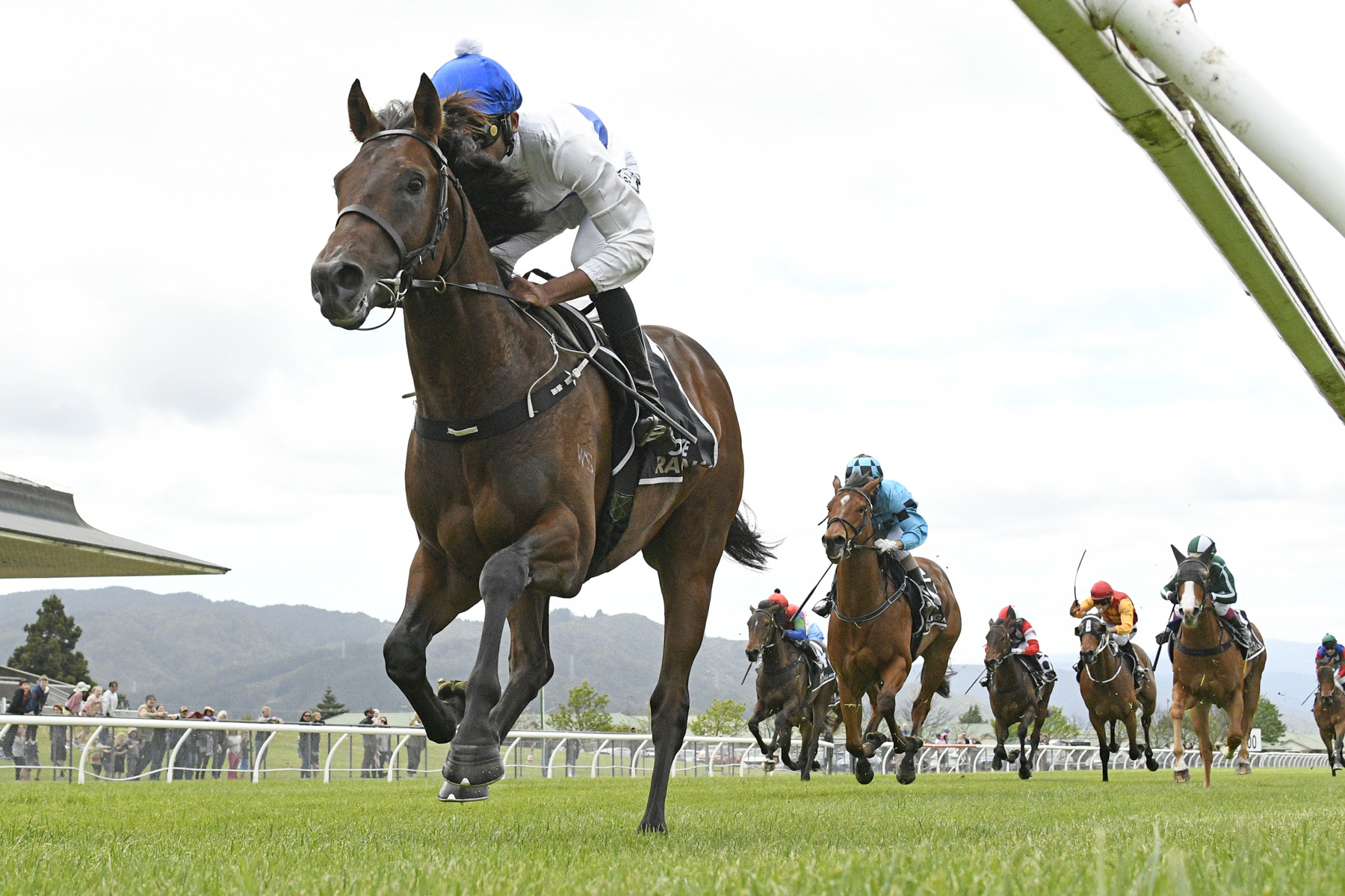 Savaglee camp contemplating first-up targets