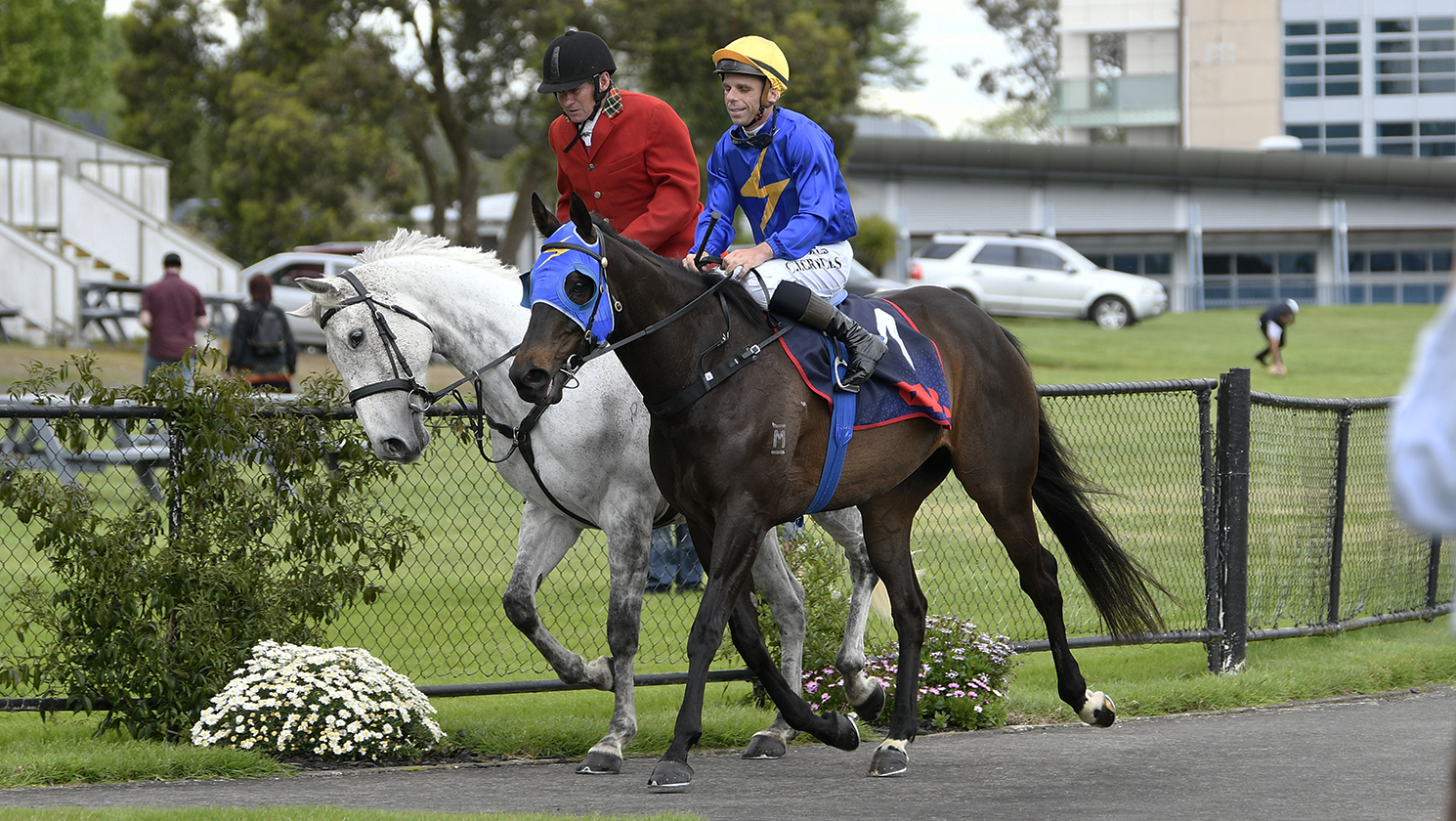 Sarten Memorial transferred to Tauranga after Te Rapa meeting abandoned