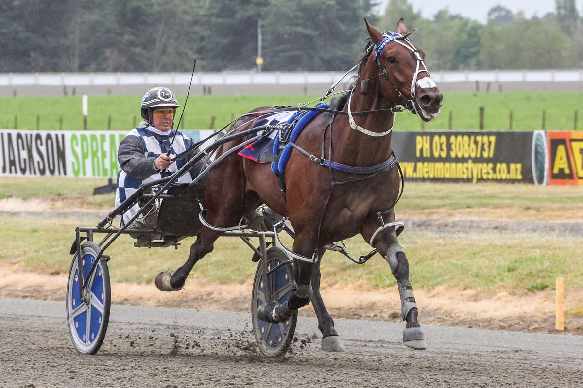 Horses to follow at Roxburgh today