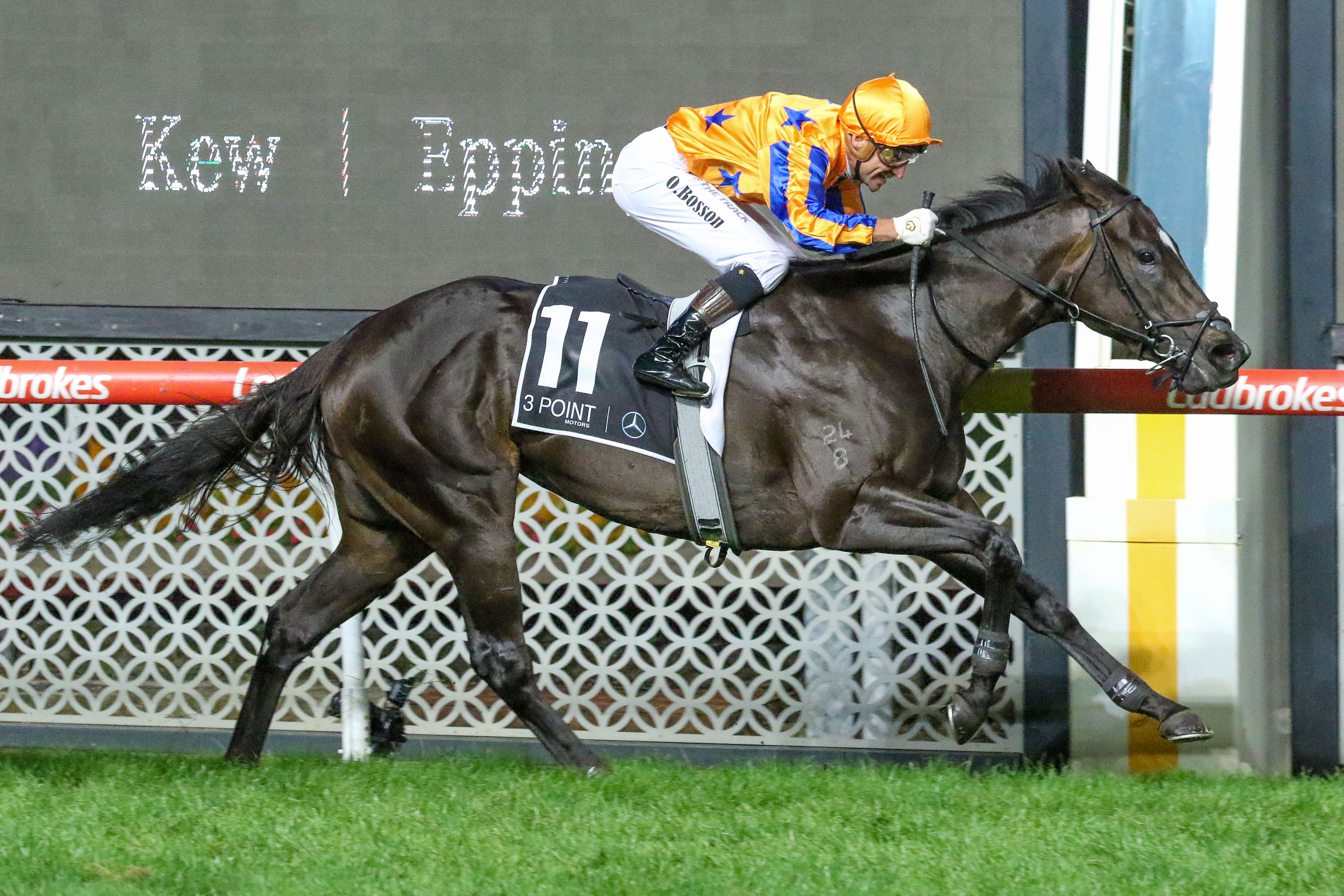 Imperatriz crowned Horse of the Year