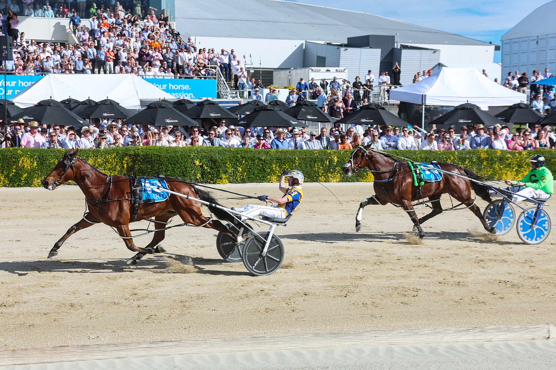 Down Under - NZ Cup build-up