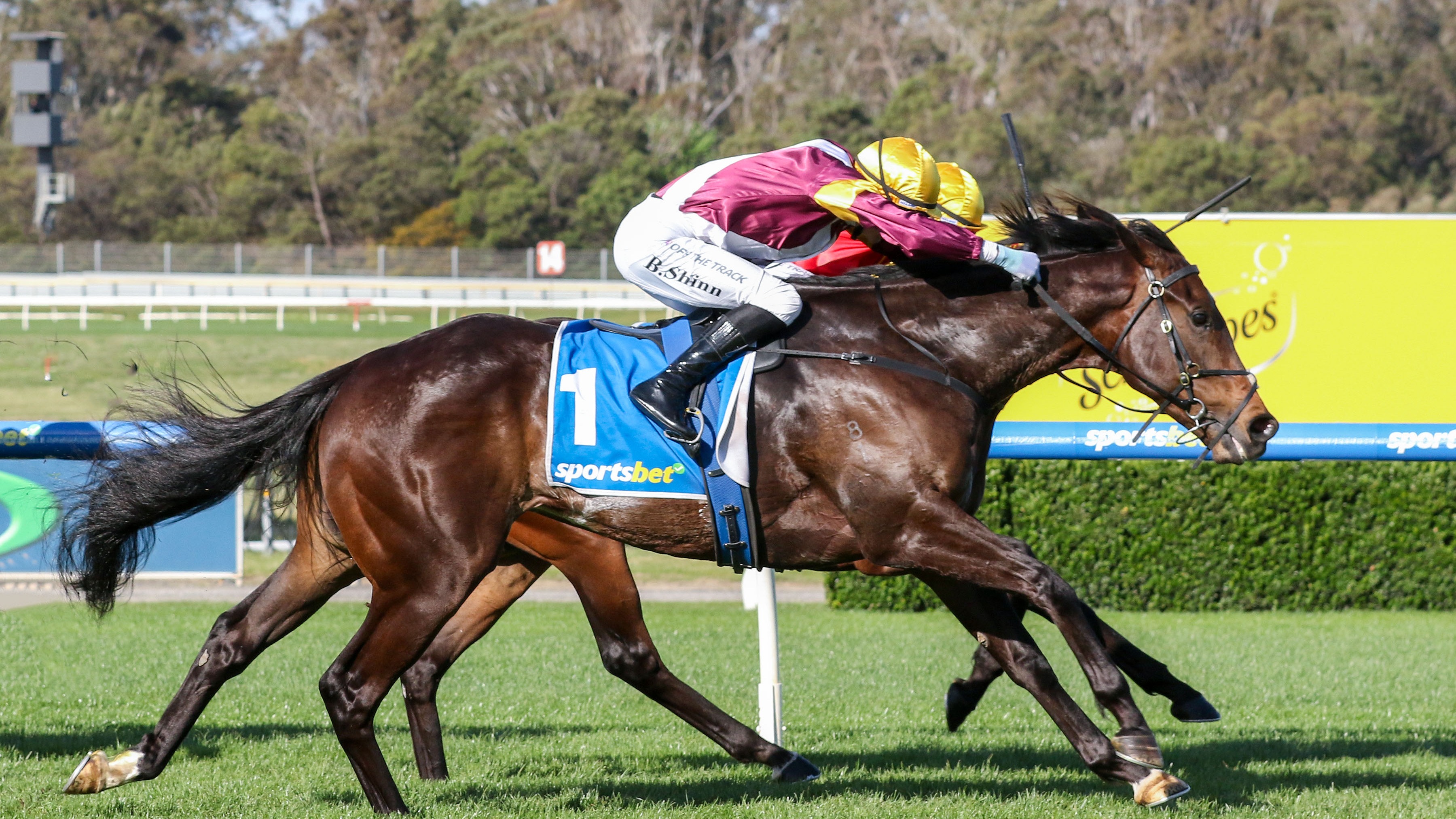 Evaporate peaking for Golden Eagle