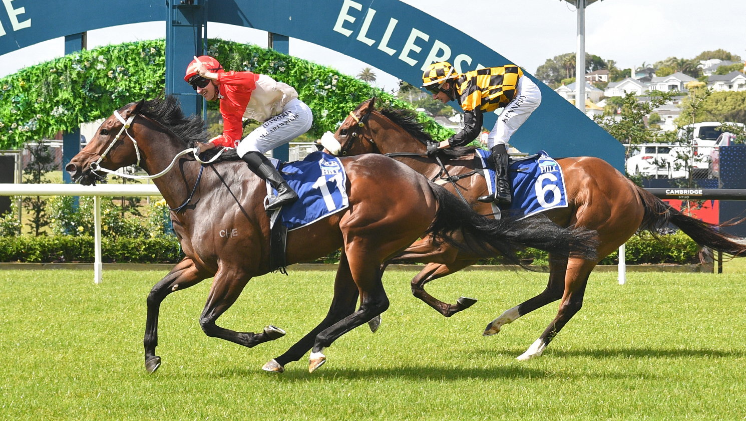Rich plan for Group winner’s dam