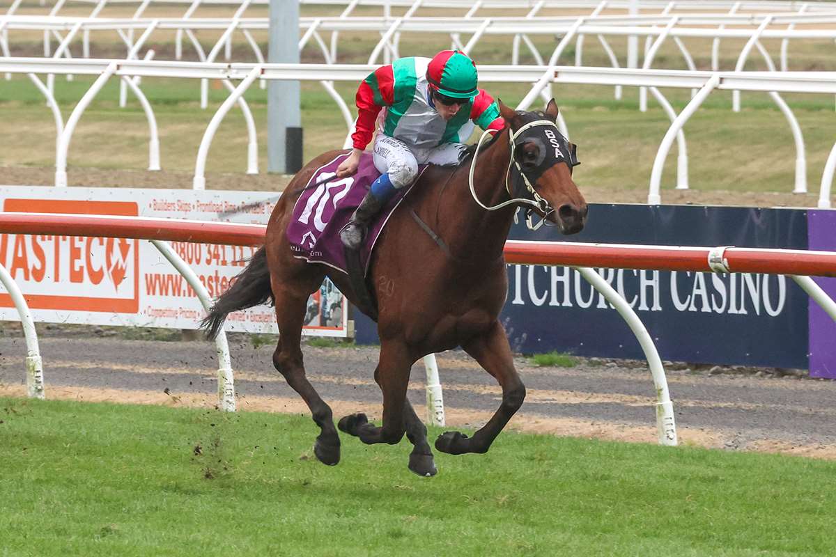 Cup Day a party for Andertons at Wingatui