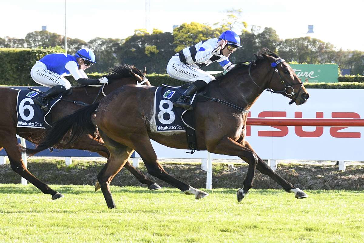 Stephen Hunt runs the numbers from Foxbridge Plate Day
