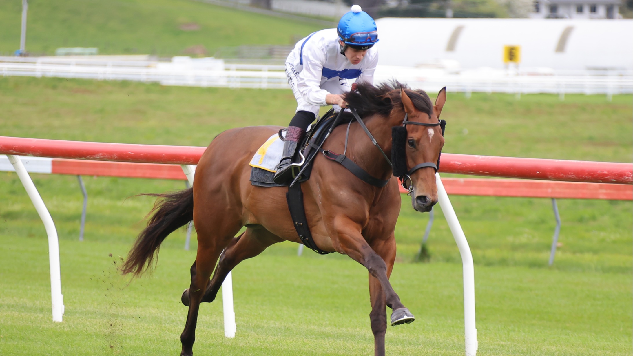 Pukekohe detour pays off for Tajana