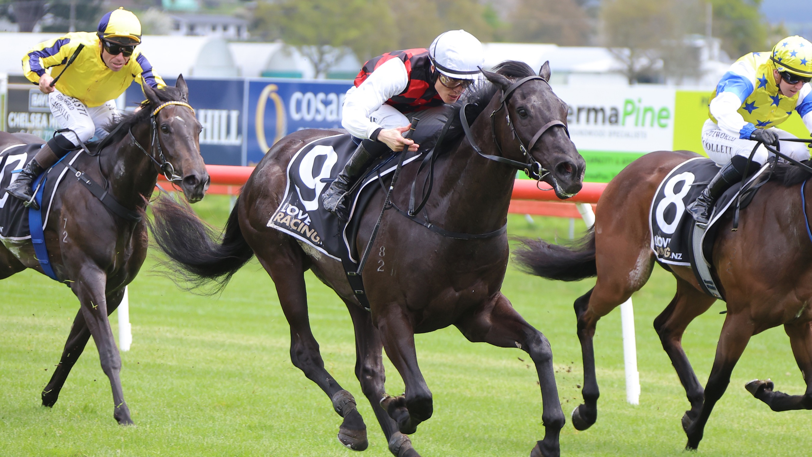 Alexanders eye potential Derby path with exciting debut winner