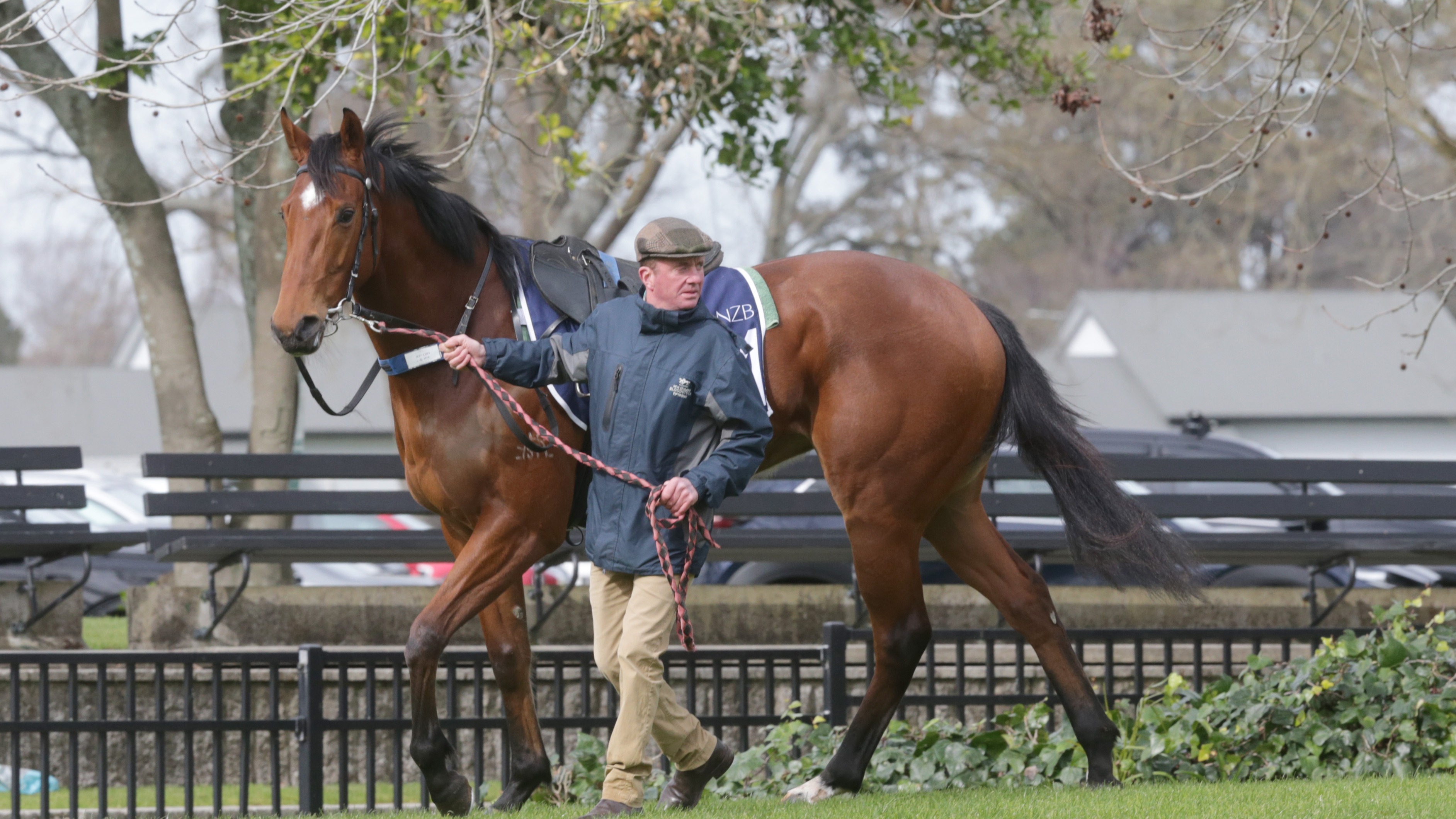 Legends Day looms on Rebel Creek’s horizon