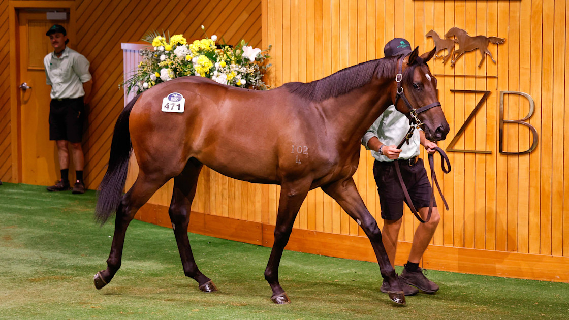 Mulcaster Mulcaster lands another big blow at Karaka