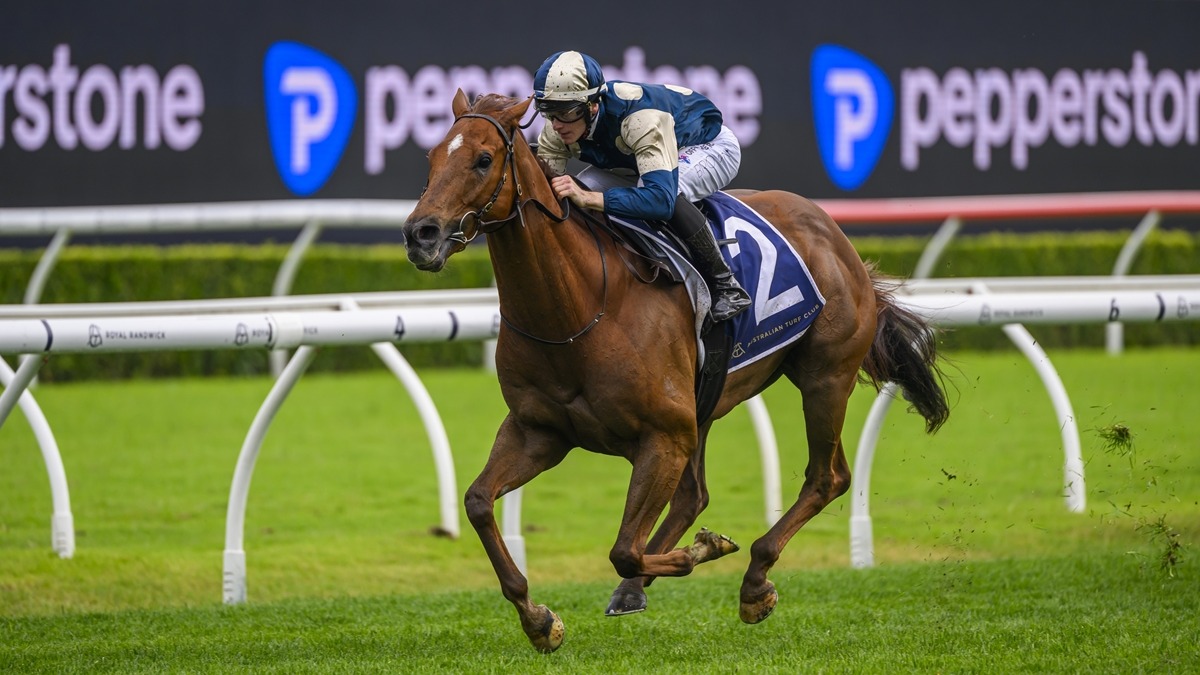 Jimmysstar dominant in Russell Balding Stakes