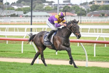 Kiwi-bred stayer conquers Jericho Cup