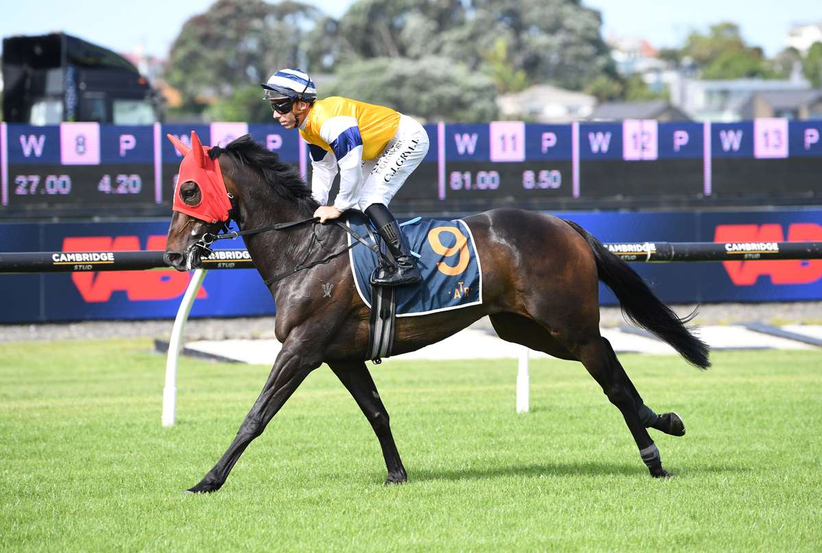 Girl power gives Forsman huge boost for Ellerslie extravaganza