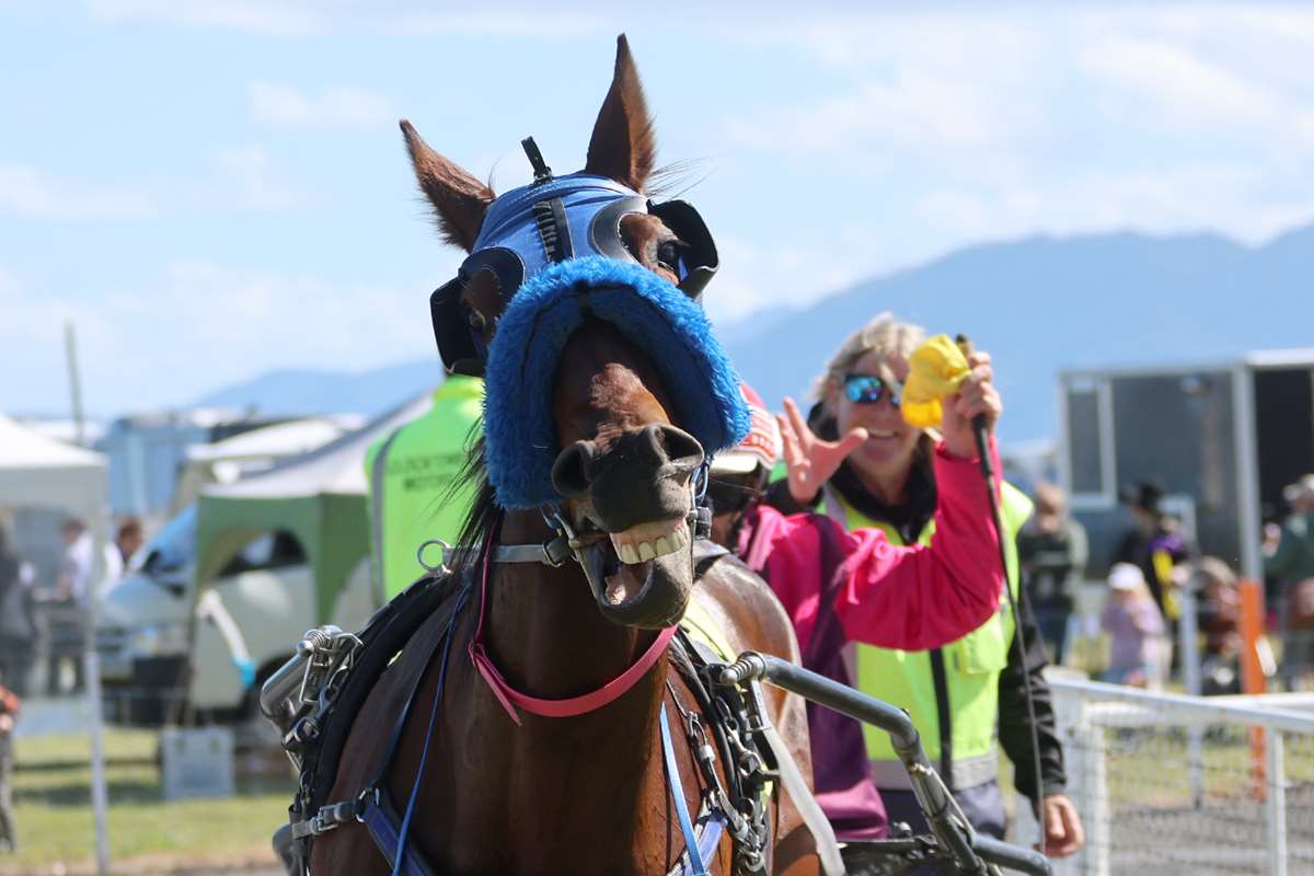 Can history be repeated at Rangiora today?
