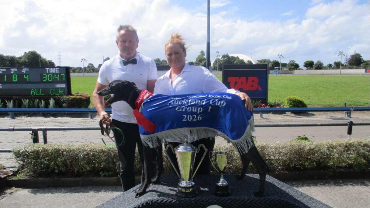 Paw Bradley cruises to his effortless Auckland Cup victory